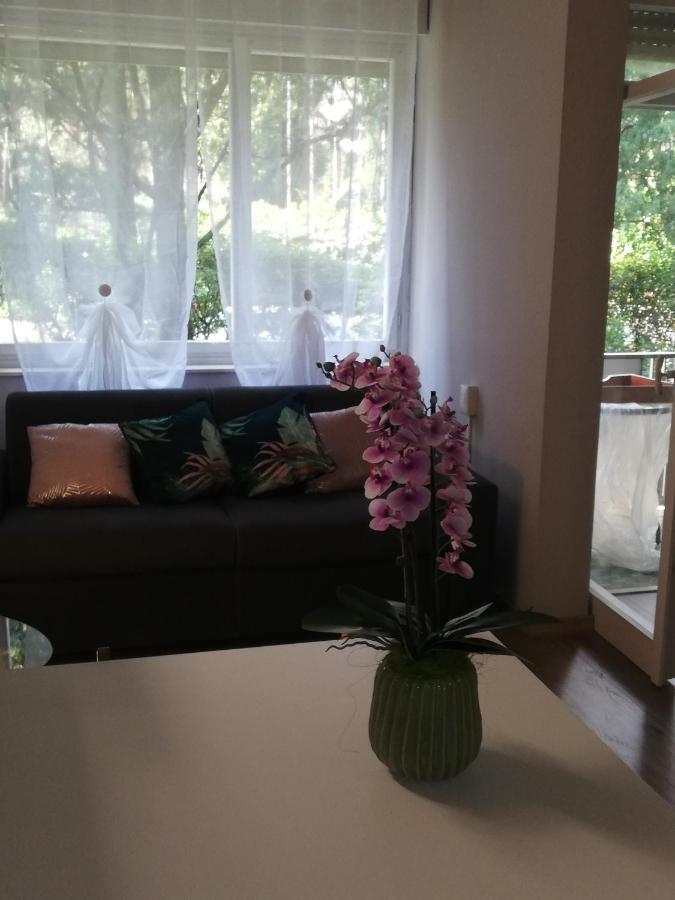 Residence Villa Alba Room Nr 221 Gardone Riviera Eksteriør billede